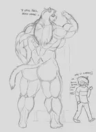 Catti gymanon Kris // 4671x6420 // 2.7MB